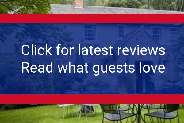 www.kingslodgeinn.co.uk - check out latest independent reviews