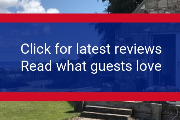 www.knockhillfarm.co.uk - check out latest independent reviews