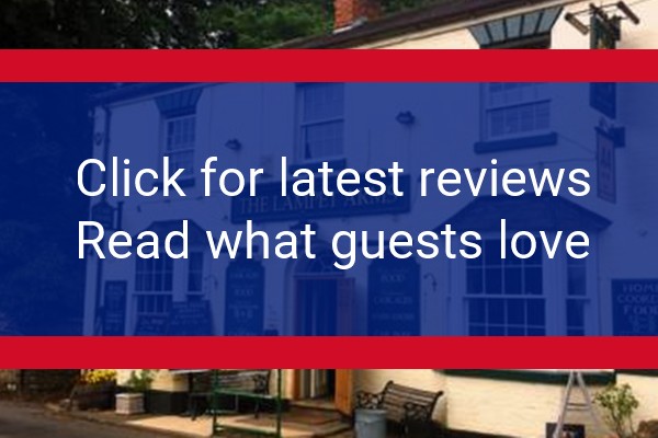 www.lampetarmstadmarton.com - check out latest independent reviews