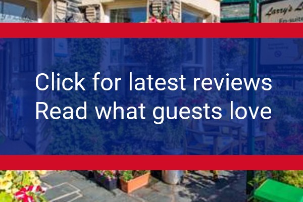 www.larryslodge.co.uk - check out latest independent reviews