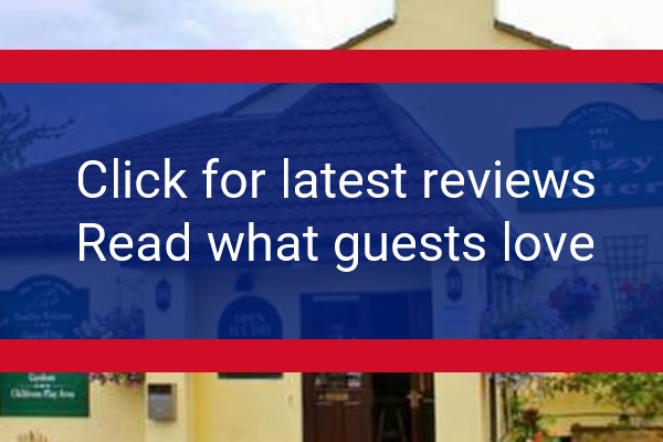 www.lazy-otter.com - check out latest independent reviews