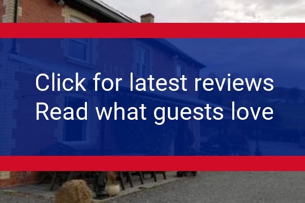 www.lionhotel-llanbister.co.uk - check out latest independent reviews