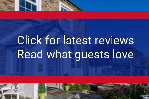 www.littlefoxhotel.co.uk - check out latest independent reviews