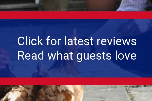 www.littletidebrookfarm.co.uk - check out latest independent reviews