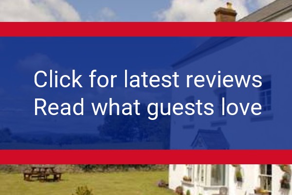 www.llansabbathcountryhousebnb.co.uk - check out latest independent reviews