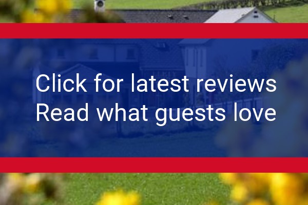 www.lletyceiro.com - check out latest independent reviews