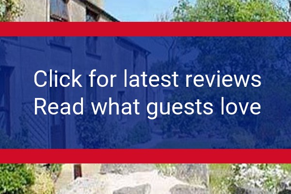 www.llynholidays.wales - check out latest independent reviews