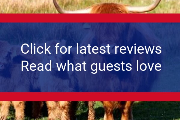 www.loch-ness-farm.co.uk - check out latest independent reviews
