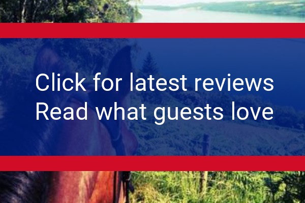 www.lochness-bandb.com - check out latest independent reviews