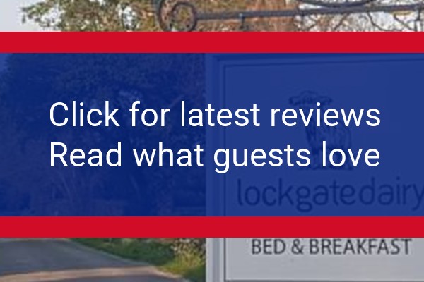 www.lockgatedairy.co.uk - check out latest independent reviews