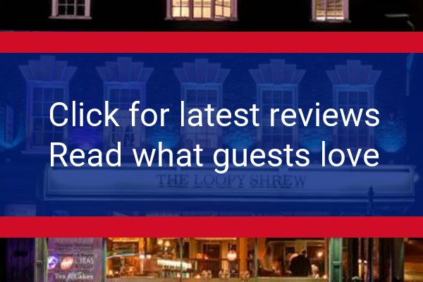 www.loopyshrew.com - check out latest independent reviews