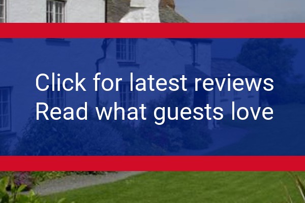 www.lowertresmorn.co.uk - check out latest independent reviews