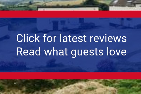 www.luckyardfarm.co.uk - check out latest independent reviews