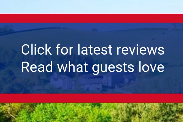 www.lurcombe.co.uk - check out latest independent reviews