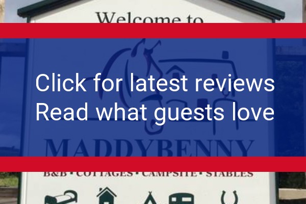 www.maddybenny.com - check out latest independent reviews
