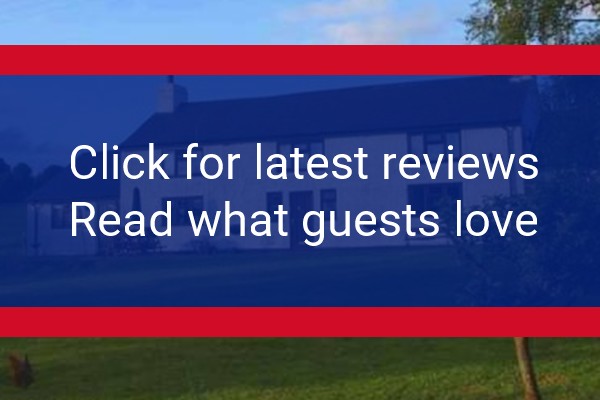 www.maeswalter.co.uk - check out latest independent reviews