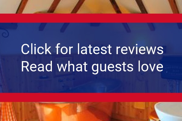 www.manorhousestables.co.uk - check out latest independent reviews