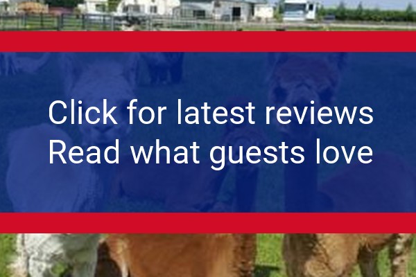 www.marshlandalpacas.com - check out latest independent reviews