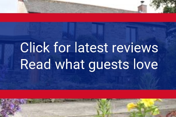 www.mellowvean.co.uk - check out latest independent reviews