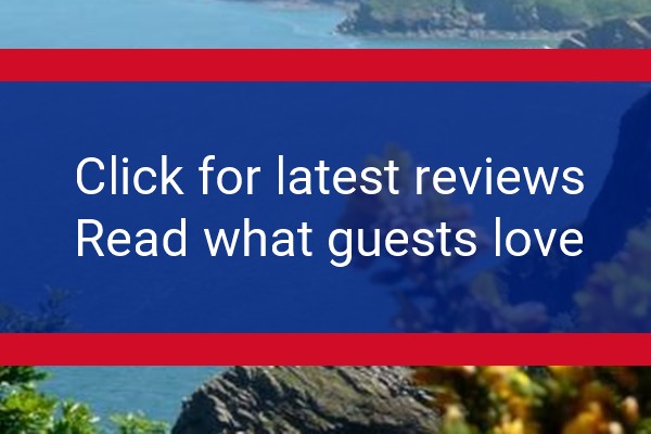 www.mellstockhouse.co.uk - check out latest independent reviews
