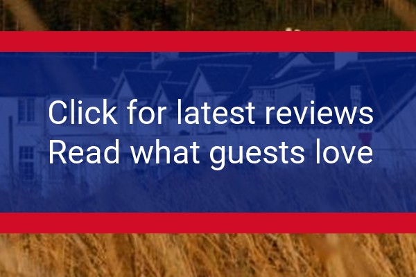 www.mhor84.net - check out latest independent reviews