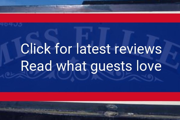 www.middlemoorfarmholidays.co.uk - check out latest independent reviews