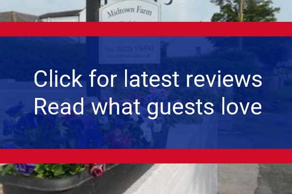 www.midtown-farm.co.uk - check out latest independent reviews