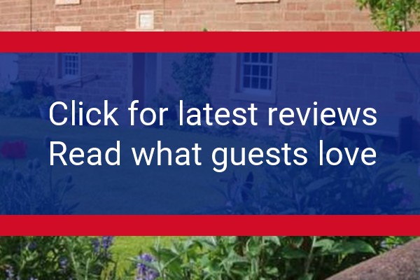 www.midtownfarmhouse.com - check out latest independent reviews