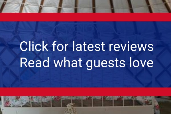 www.millhavenplace.co.uk - check out latest independent reviews