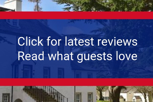 www.moness.com - check out latest independent reviews