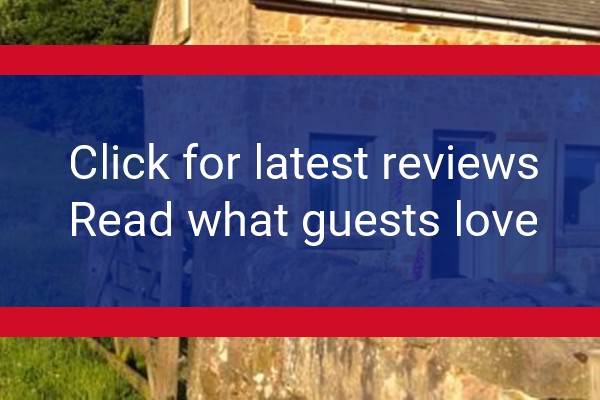 www.moorlands-farm.com - check out latest independent reviews