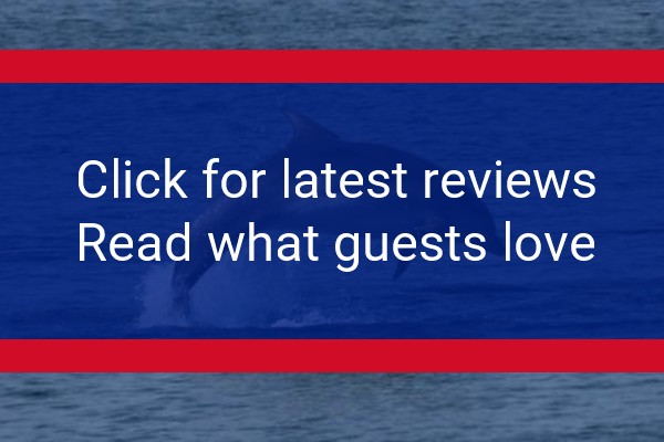 www.morayguesthouse.co.uk - check out latest independent reviews
