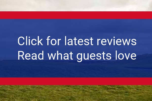 www.morpethcanineretreat.com - check out latest independent reviews