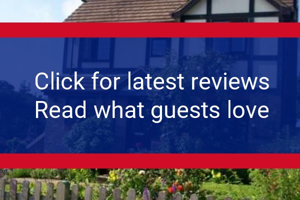 www.muffins-hastings.co.uk - check out latest independent reviews