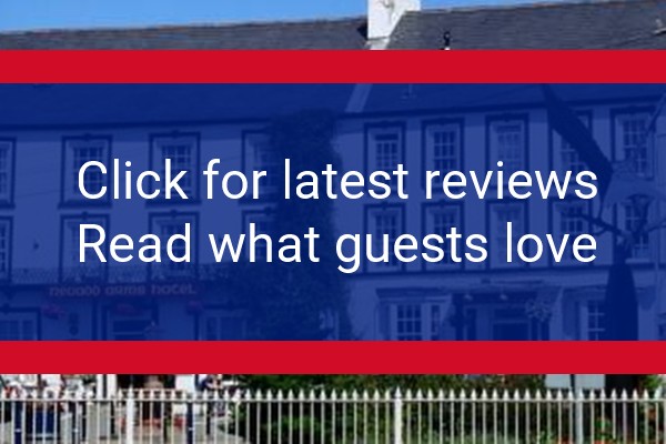 www.neuaddarmshotel.co.uk - check out latest independent reviews