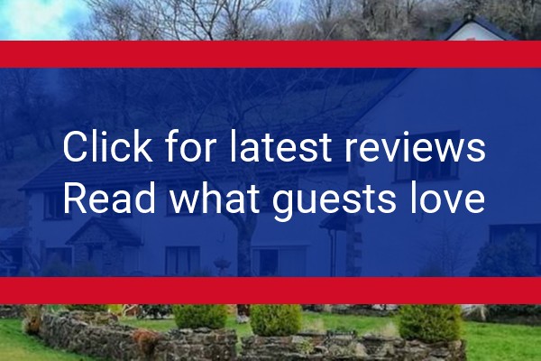 www.neuaddwenguesthouse.com - check out latest independent reviews