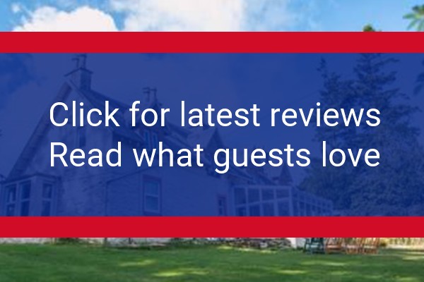 www.newabbeylodge.co.uk - check out latest independent reviews