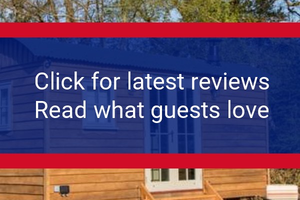 www.newforestglamping.com - check out latest independent reviews