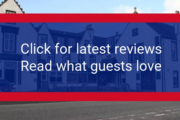 www.newinnellon.co.uk - check out latest independent reviews