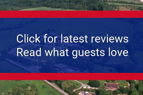 www.newlandsholidays.co.uk - check out latest independent reviews