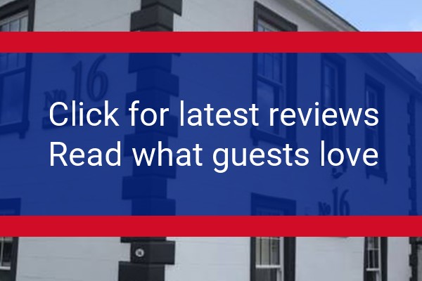www.no16seaham.co.uk - check out latest independent reviews