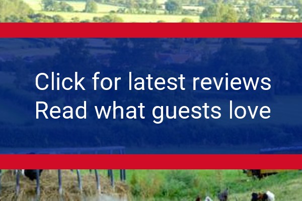 www.oakwoodonthelevels.com - check out latest independent reviews