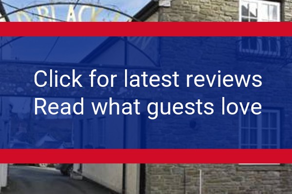 www.oldblacklion.co.uk - check out latest independent reviews