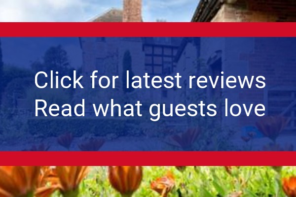 www.olddowntonlodge.com - check out latest independent reviews