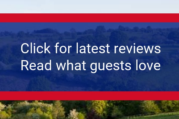 www.oldkingstreetfarm.co.uk - check out latest independent reviews