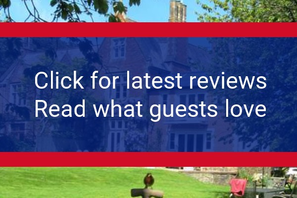 www.oldvicaragebarnstaple.co.uk - check out latest independent reviews