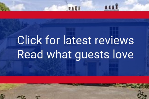 www.oldvicaragekenton.co.uk - check out latest independent reviews