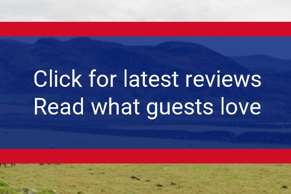 www.oldvicaragenaddle.co.uk - check out latest independent reviews