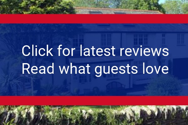 www.orchardlodgeboscastle.co.uk - check out latest independent reviews