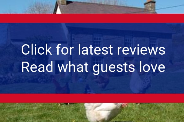 www.organicfarmwales.co.uk - check out latest independent reviews